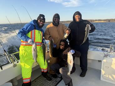 A group of four anglers proudly displaying their catch of striped bass while enjoying a fishing trip on a boat.