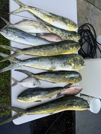 Incredible fishing charter