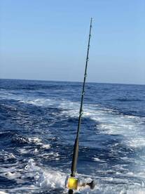 Perfect sunny trip with a good catch