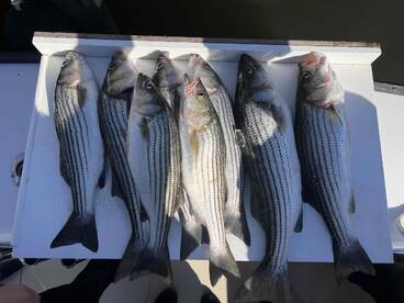 Fantastic Experience with Capt John and First Mate Rick