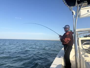 First false albacore on a fly!