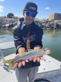 In the words of my son,\