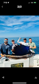 Group of anglers proudly displaying a large Sailfish aboard their boat during a deep-sea fishing trip.