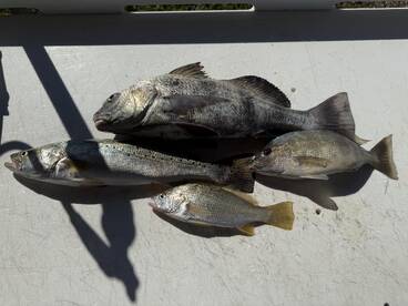 Great day on the water with Captain Bill and Striker!