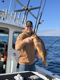 Above & Beyond Expectations