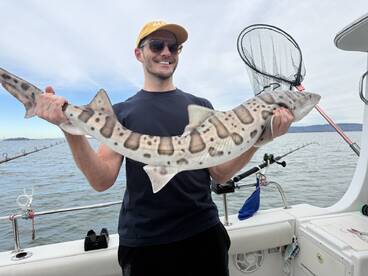 An angler proudly displaying a Leopard Shark while fishing on a boat, showcasing the beautiful coastal waters.