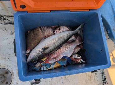 A great afternoon out fishing