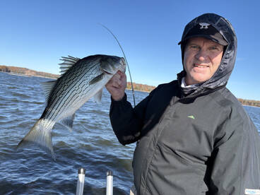 We caught more than you could eat !!!