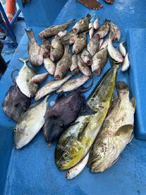 November fishing trip