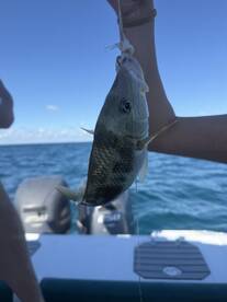 Best part of our trip!! Would be again!