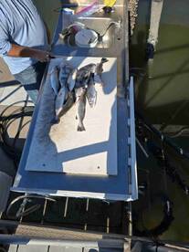 Capt Andy is the Best