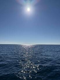 A serene view of the ocean under a bright sun, showcasing the sparkling water surface, ideal for a day of fishing.