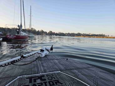 Great all around Experience 