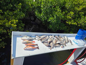 Second to none, awesome trip!