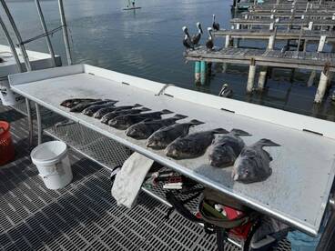 fantastic trip on a tough day