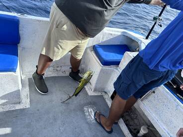 Great trip bay fishing