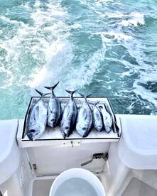 Got lucky despite the rough water