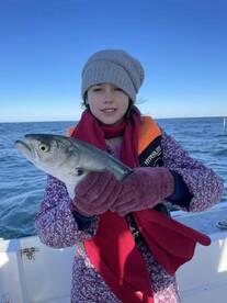 Lots of Fish-Great for Kids