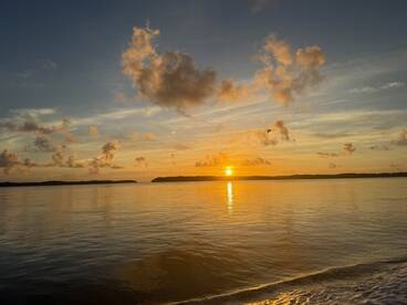 Fantastic Activity Filled Excursion