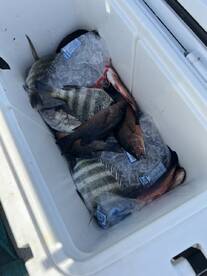 Awesome Captain Amazing Fishing Experience 