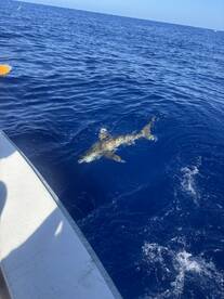 December fishing trip