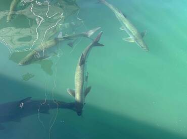 really good bunch of lads 