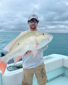Knowledgeable captain, awesome boat