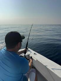 2 beautiful sail fish