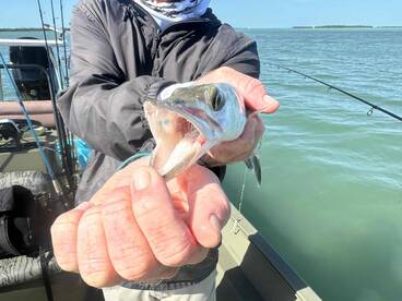 Beautiful Day on the Water in Mid-December! 