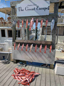 December fishing trip