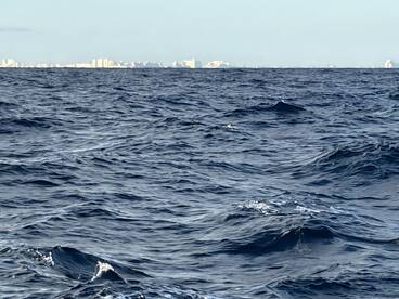 Amazing fishing Charter