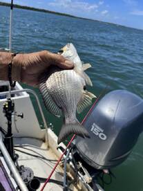 Angler holding a freshly caught fish, likely a Snapper, while on a boat in a scenic fishing environment.