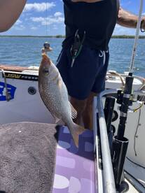 Captain Vince is awesome!