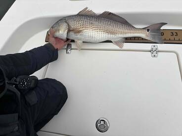 Trip provisions was exactlly as stated, just bring food, snacks and drinks.