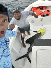 Marlin and 10 barracuda