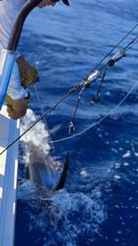 great day on the water 