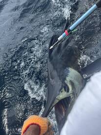 Full day offshore trip with Captain Butch Carlson and Christian