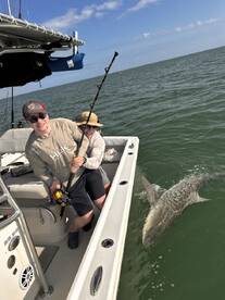 Grouper and Bull Shark Experience!