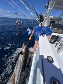 Added two more billfish to the bucket list \ud83d\udc20\ud83d\udc1f