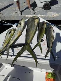 Captain Kevin was awesome! 