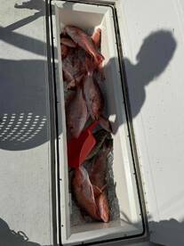 great times, great fishing, great captain and crew!! 