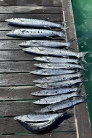 Alexander and crew were exceptional!