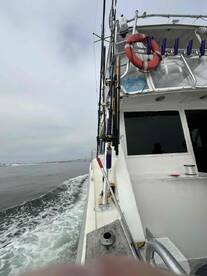 Fantastic Fishing Charter \u2014 Can\u2019t Recommend Enough!