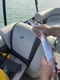 Caught so many fish! 