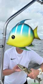 Great experience despite not ideal weather 