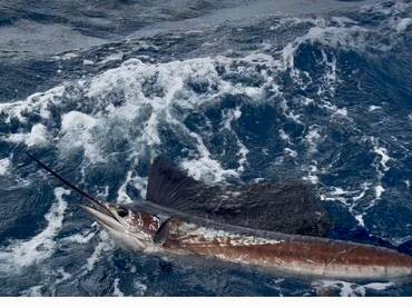 Naughty Girl does it again  