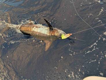 Epic fishing trip with great crew