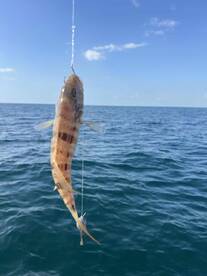 Great family session