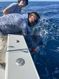 blue marlin and sailfish same trip out!