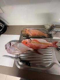 Best Chrissy fishing charter!